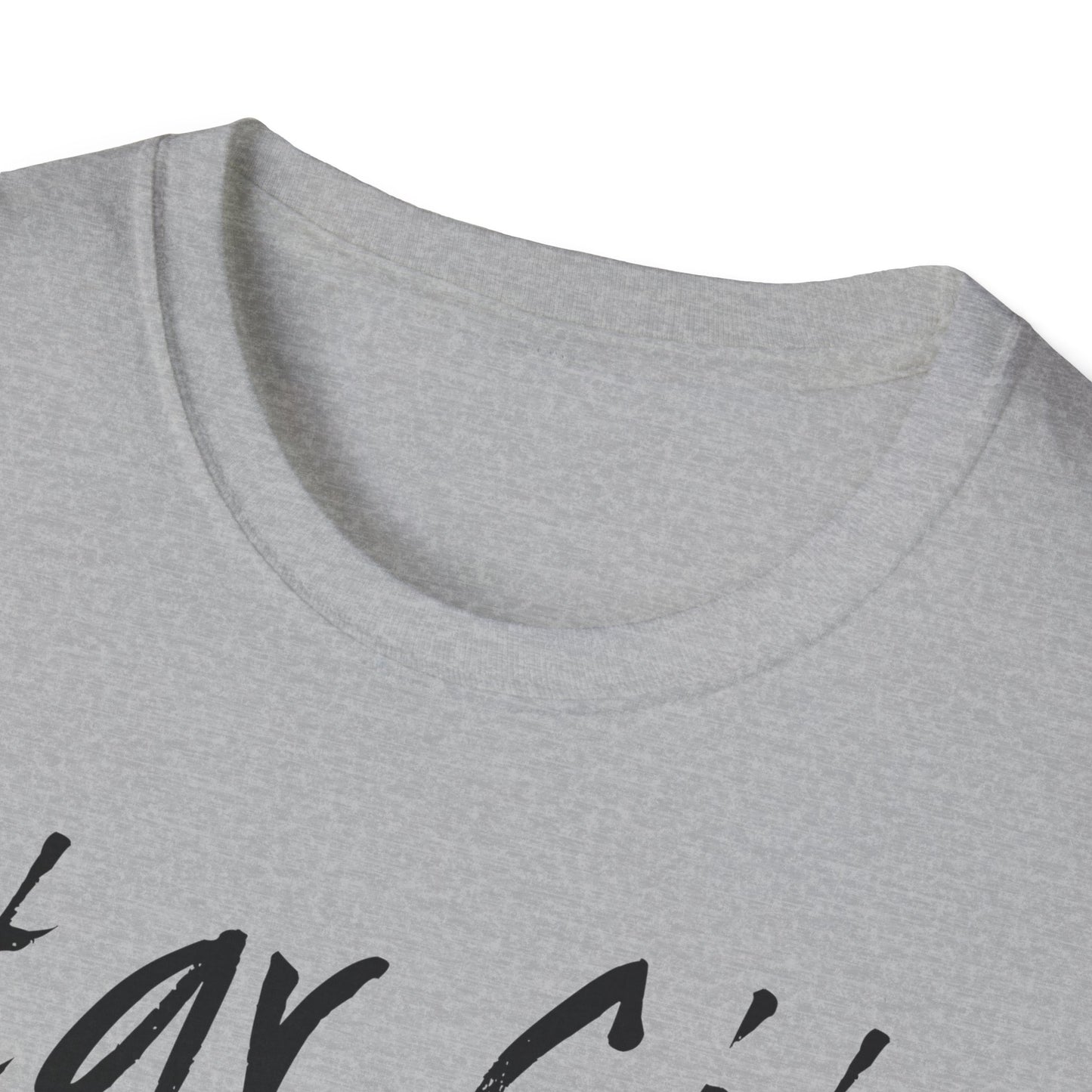 State Capital Tee - Illinois